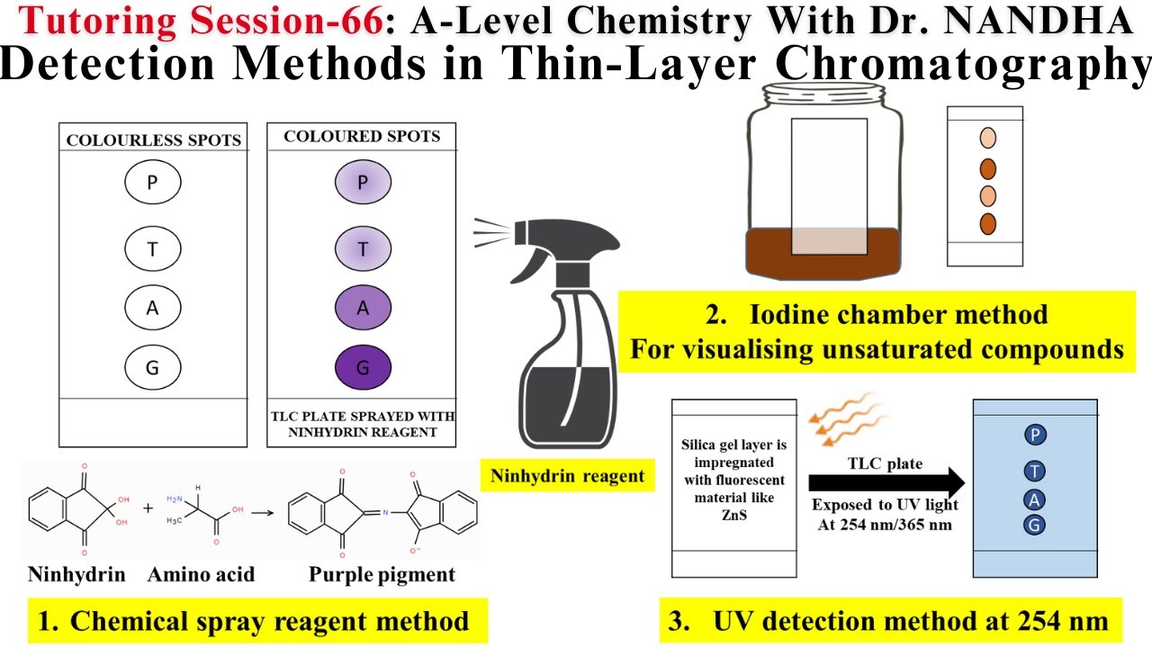 THIN-LAYER CHROMATOGRAPHY | DETECTION METHODS | UV/IODINE-CHAMBER METHOD | SPRAY REAGENT METHOD |