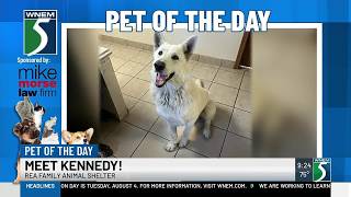TV5 Pet of the Day: Meet Kennedy!
