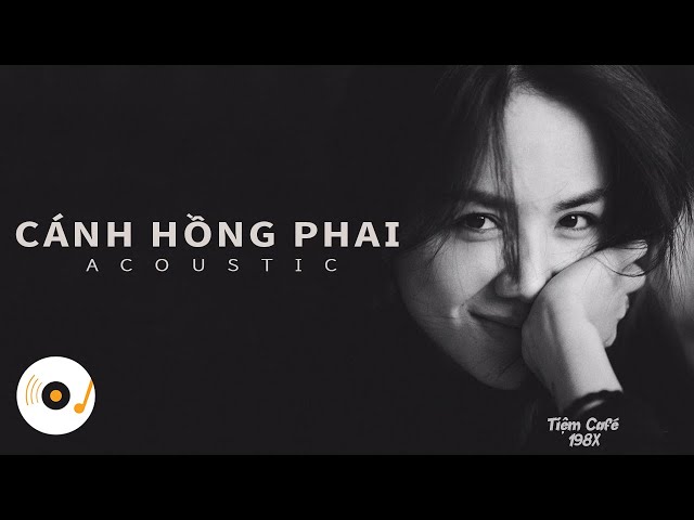 CÁNH HỒNG PHAI - NHỮNG BẢN ACOUSTIC COVER NHẸ NHÀNG THƯ GIÃN HAY NHẤT 2021 #2 class=