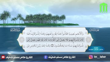 القرآن الكريم بصوت القارئ طاهر مسلم ضعيف - الجزء الثامن