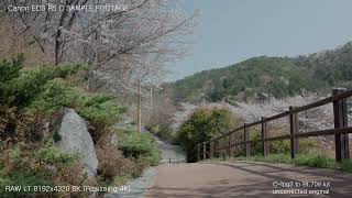CANON EOS R5C TEST FOOTAGE | RAW LT, XF-AVC, HEVC