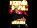 Mtshepana bigdawg  matured piano selections march 2023 mix