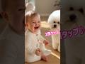 【可愛すぎ】赤ちゃん、もふもふビションにお菓子をおすそわけ🍪👶🐶 Too Cute! Baby Shares Snacks with a Fluffy Bichon