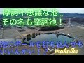 【散策(空撮)】摩訶不思議な摩訶池に行ってみた...(埼玉県児玉郡美里町)