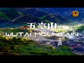 [4K] The Sacred Land of Cool Serenity - Wutai Mountain | the Bodhimanda of Manjushri Bodhisattva