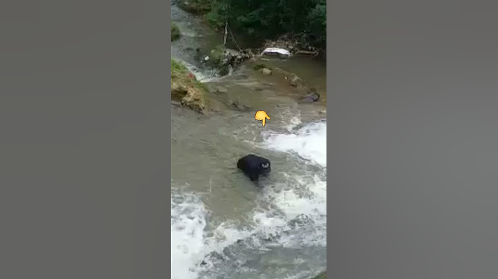 berburu sidat di spot terseram mancing sidat keramat