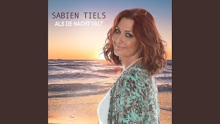 Als de nacht valt screenshot 3