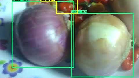 A custom object identification and classification of onions and peppers using EfficientDet