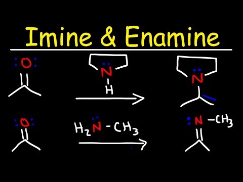 ვიდეო: რედუქციურ ამინაციაში ამიაკი რეაგირებს?