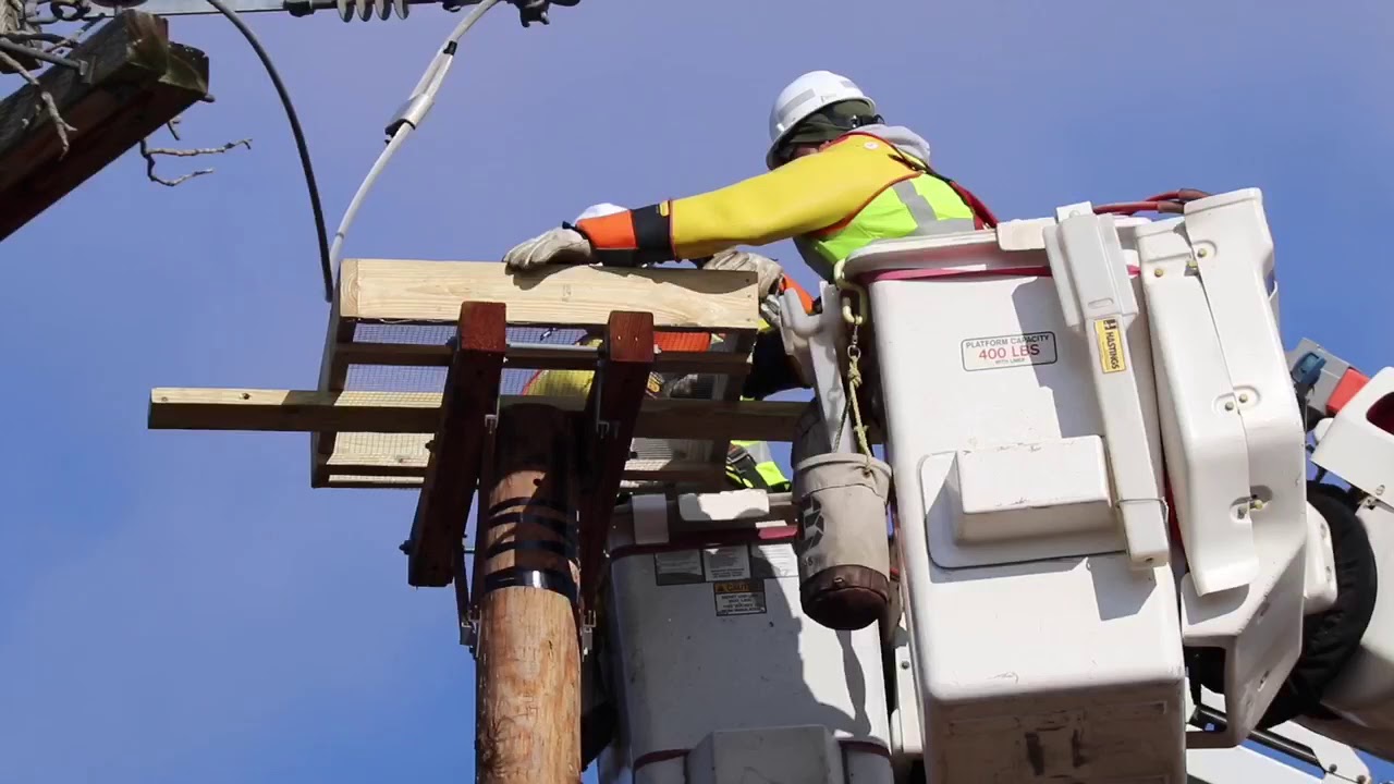 B-Roll — Penn Power Installs Nesting Platforms