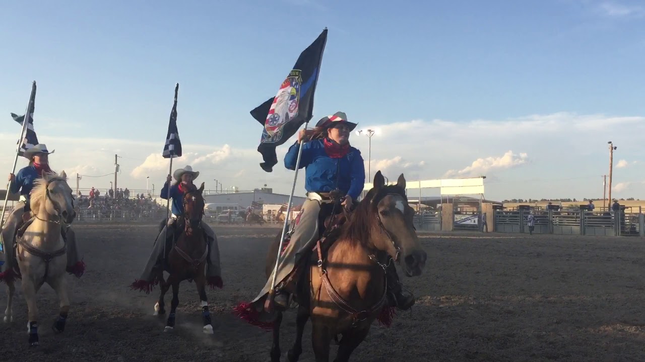 All Videos