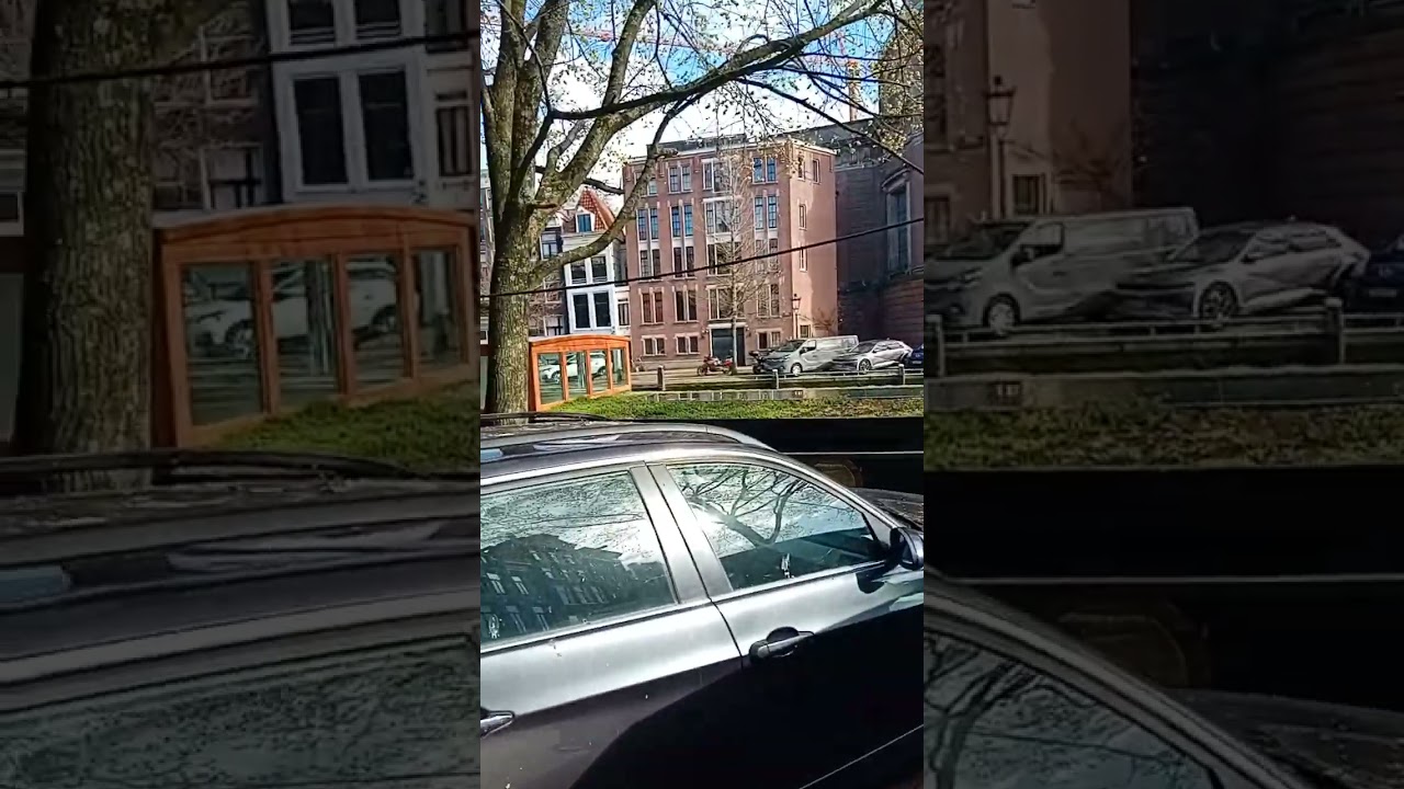 WILDLIFE walkabout Amsterdam red light district daytime 