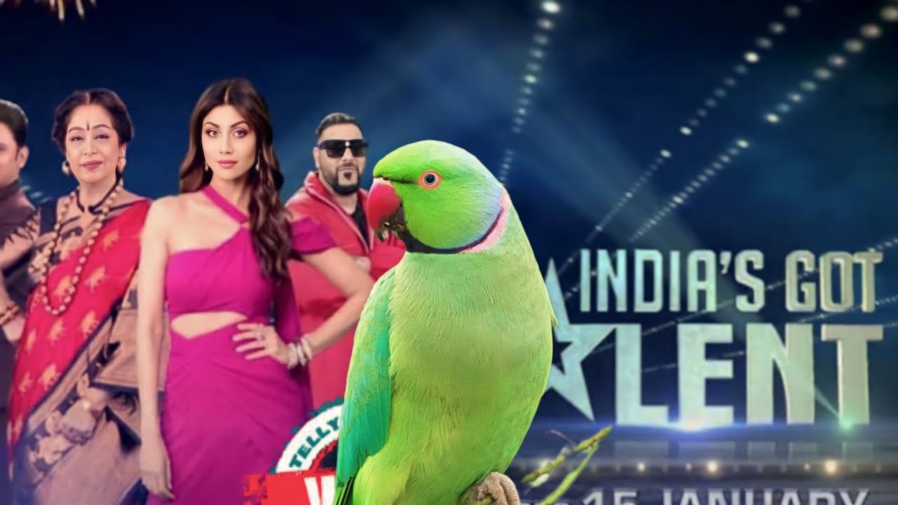 Mithu In India's Got Talent 💥 Blaster Performance Judges Shocked