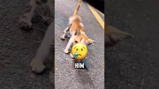 She Thought It Was A Real Balloon But It Wasnt