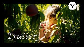 Alcarràs | Trailer deutsch | Im Kino