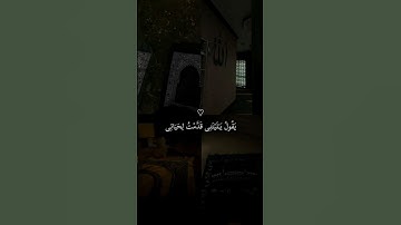 تلاوة خاشعة للقارئ محمد البراك❤️ سورة: الفجر❤️ #قران #محمد_البراك #قران_كريم #سورة_الفجر #quran.