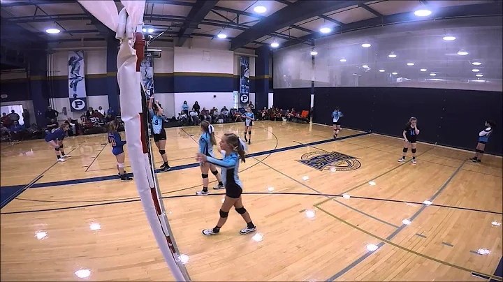 13U Black vs HPSTL White   Principia   Gold Bracke...