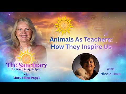 Animals As Teachers: How They Inspire Us