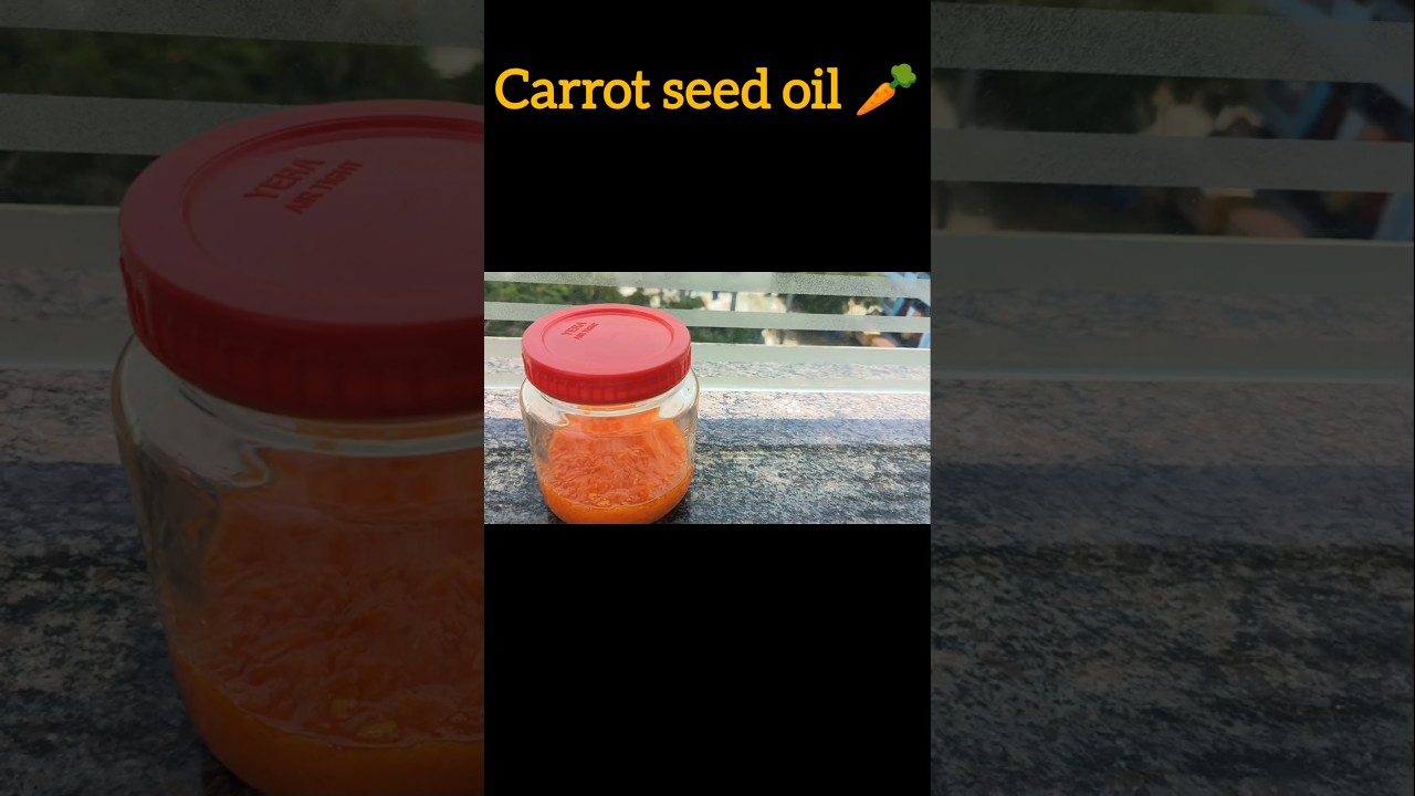 "Carrot Seed Oil: The Anti-Aging Secret You NEED!🔥"