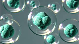 Cells healing - Deep healing and gratitude for the body