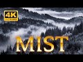 Mystical mists a cinematic exploration of nature enigmatic fogmusic for relaxyoga and meditation