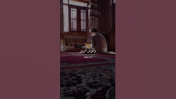 سورة غافر - مشاري العفاسي