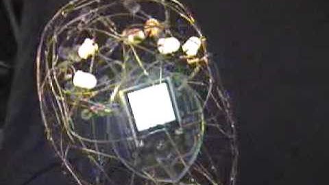 Picaxe 08m controlled Interactive mixed media LED sculpture with electronics
