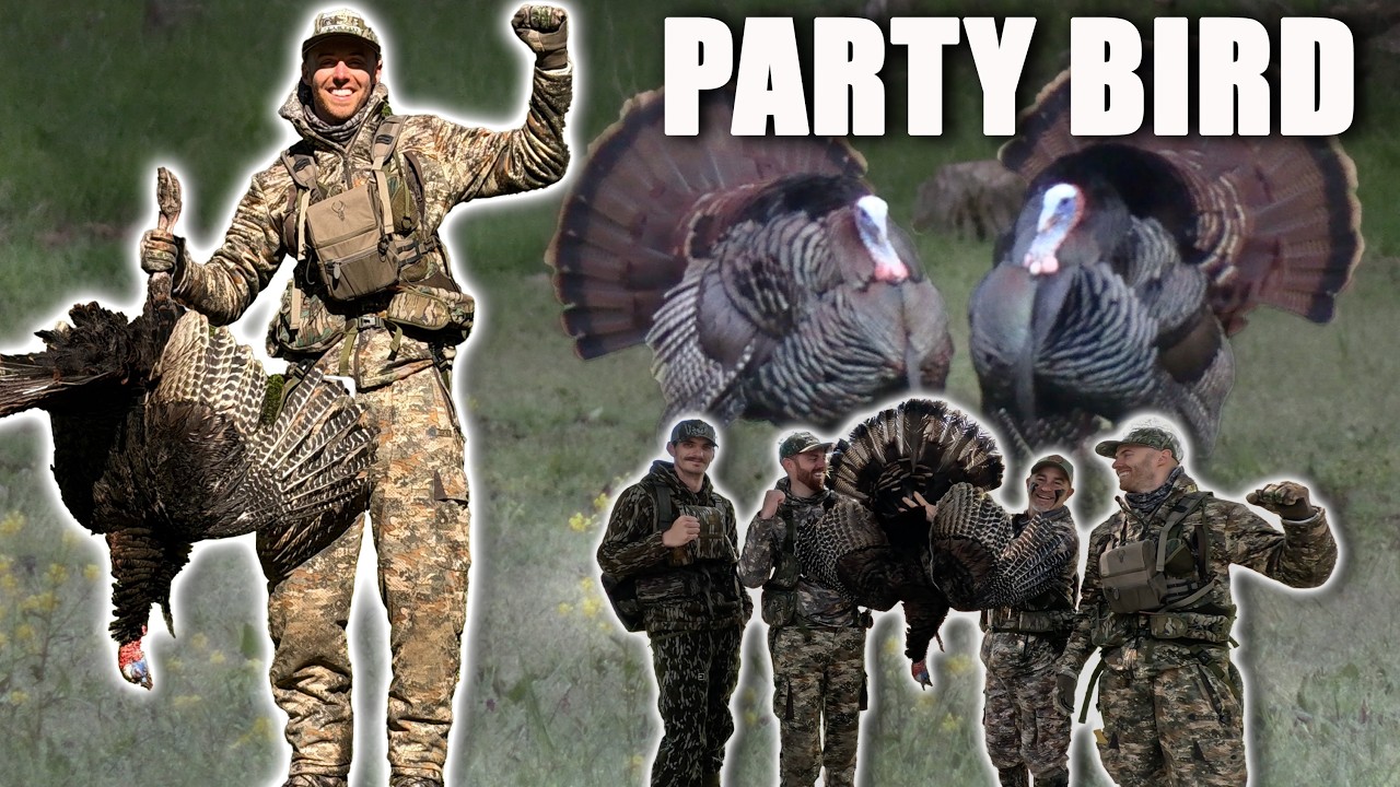 New York Turkey Hunting - Party Bird