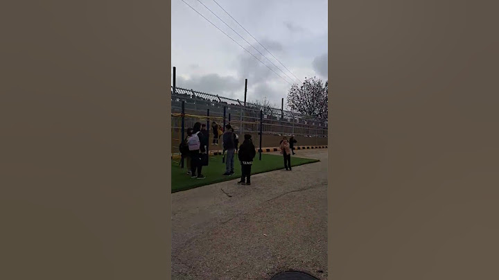 국제학교에 한국인밖에 없다