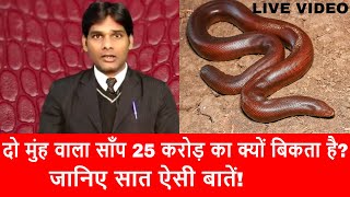 दो मुहा साँप 25 करोड़ का क्यों बिकता है? Sand Boa Snake| जानिए 7 ऐसी बातें जो बनाती है इसे करोड़ो का।