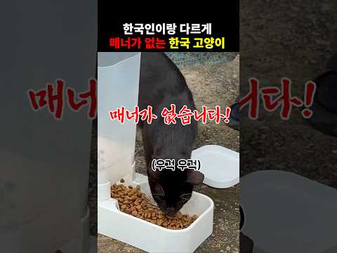 동방예의지국 한국에서 유일하게 관리 안되는 애들ㅋㅋ 영상 썸네일