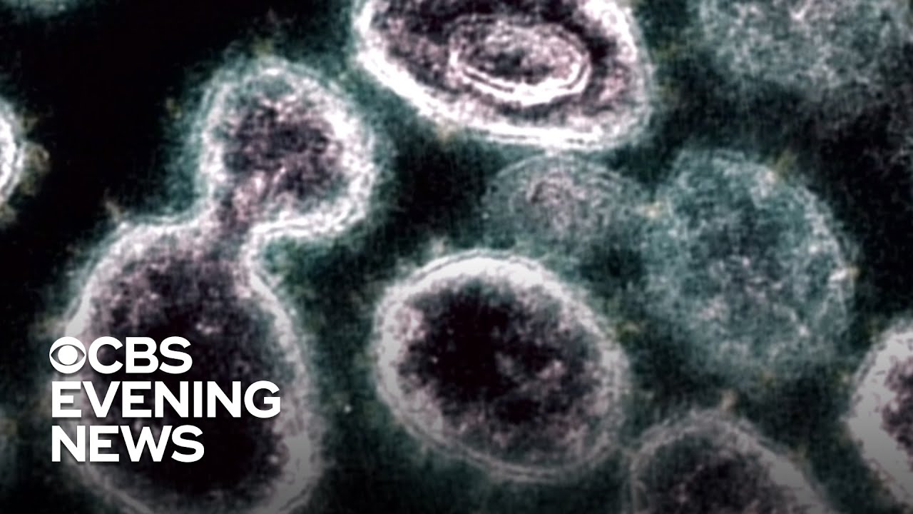 Coronavirus can spread through air up to 16 feet, study finds