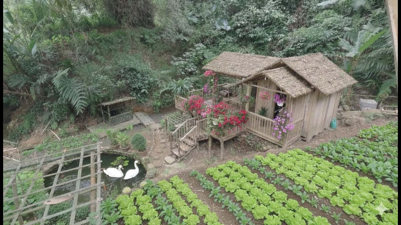 Part 5. 365 days to build a house in the forest, away from the noise of ...