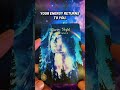 Starry Night Oracle: Acceptance Is Bringing You Peace Today