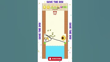 Save the Dog Level 44