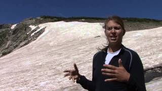 Glaciers