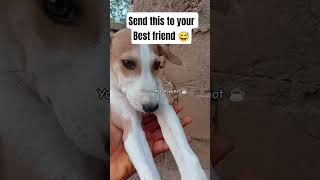 Your Jokes Are Funny