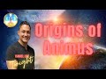 Origins of animus