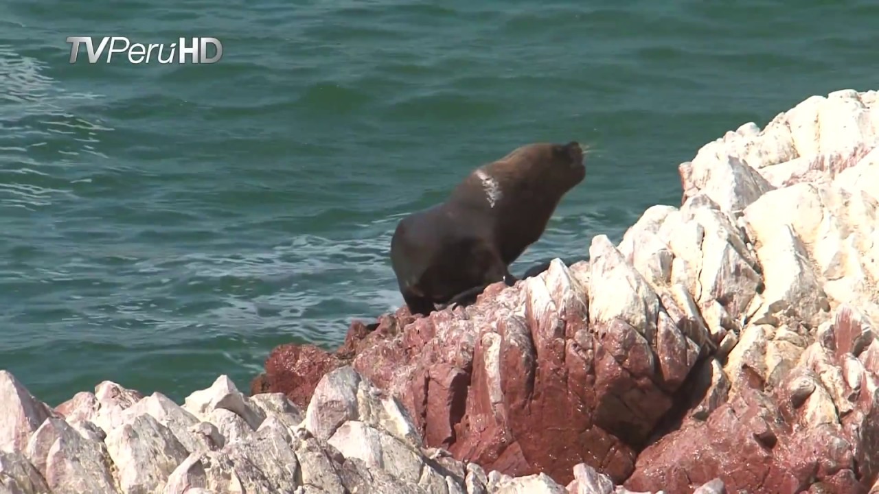 PERU.COSTA.SIERRA.SELVA FULL HD - YouTube