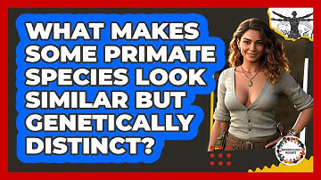What Makes Some Primate Species Look Similar But Genetically Distinct? - Anthropology Insights
