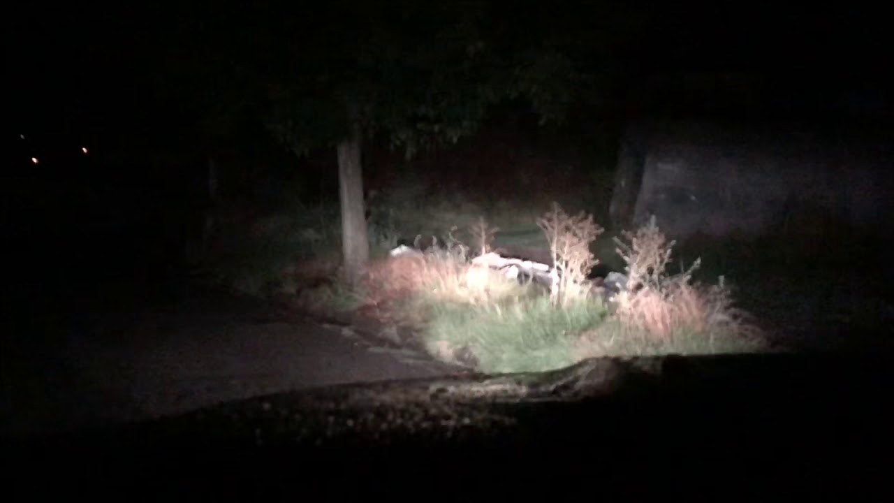 Duraturn Travia H/T Jeep Renegade Quick Rainy Night Test