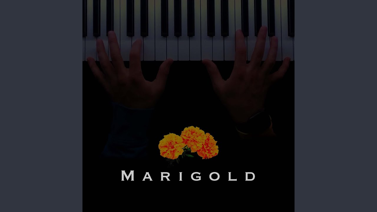 Marigold YouTube