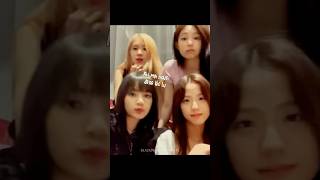 NHỚ THỜI MÍ CHỊ LIVESTREAM LIÊN TỤC VỚI BLINKEU 🥹🥹🥹 #blackpink #vlive #ot4