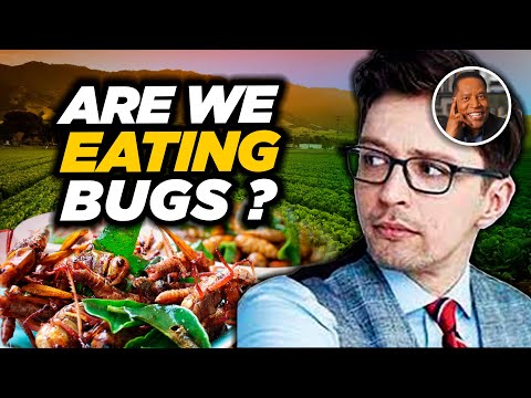 Is Bug-Eating Going To Be Our New Reality?
