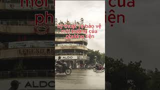 319 Vn Explain Words Of Qcvn 41 2019 Bgtvt  shorts freeway highway expressway trending 