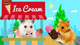 Hamster Escape Maze Awesome Ice Cream For Pets in Real Life - Great Hamster