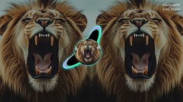 How to edit the avee player template 10k views🔥🔥❤️🫶🏻❤️🎙️🎶💯🩷#100#music #virlmusic