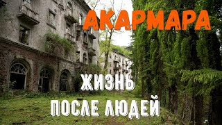 Акармара -город призрак. Абхазия.