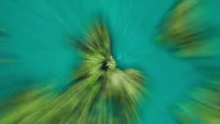 Upside Down world Map Video