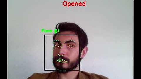 Drowsiness Detection